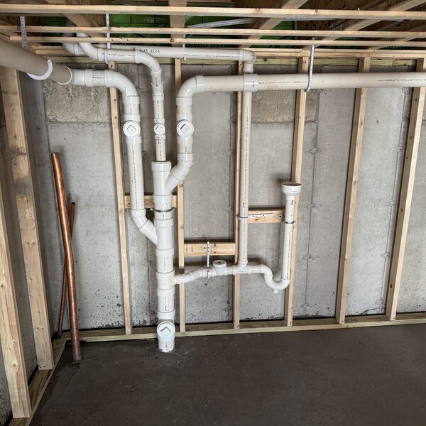 PVC drain-waste-vent (DWV) piping roughed into a basement wall